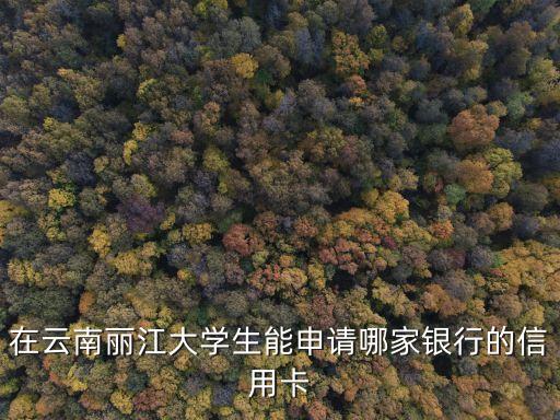 在云南丽江大学生能申请哪家银行的信用卡