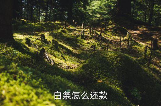 白条怎么还款