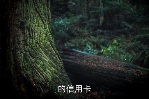 的信用卡