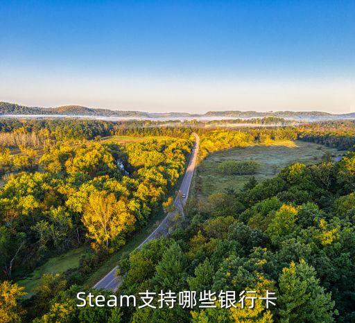 steam能用什么信用卡，可以用工行的卡到steam购买游戏吗
