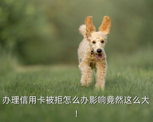 办理信用卡被拒怎么办影响竟然这么大!