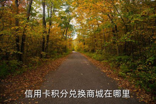 信用卡积分兑换商城在哪里