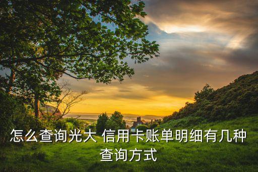 怎么查询光大 信用卡账单明细有几种查询方式