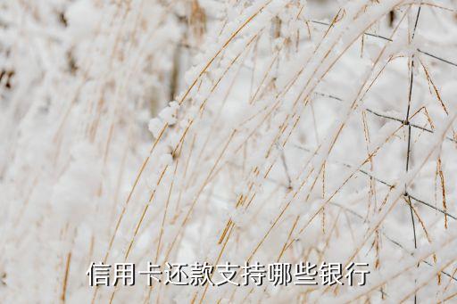 什么银行不能刷信用卡还款，使用和包支付信用卡还款支持什么银行
