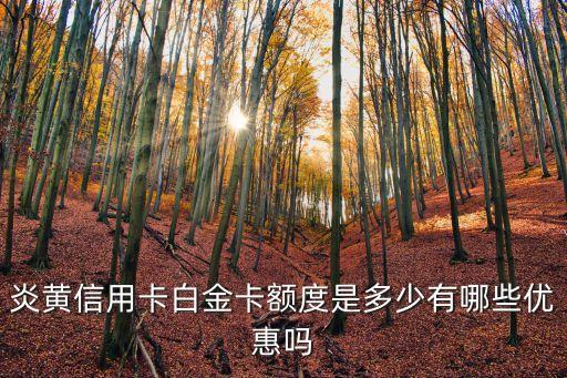 炎黄信用卡白金卡额度多少,工行白金卡的信用额度是多少