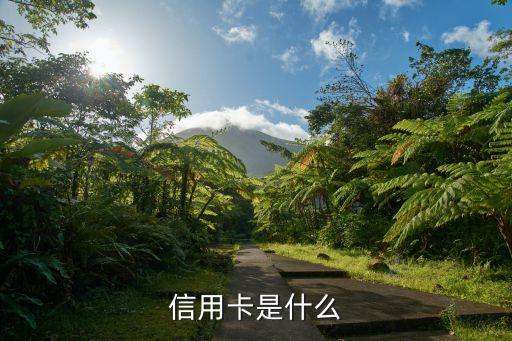 信用卡是什么