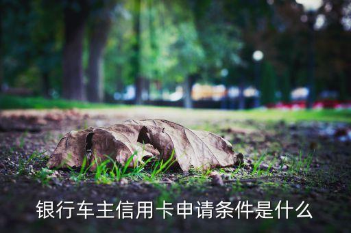 银行车主信用卡申请条件是什么