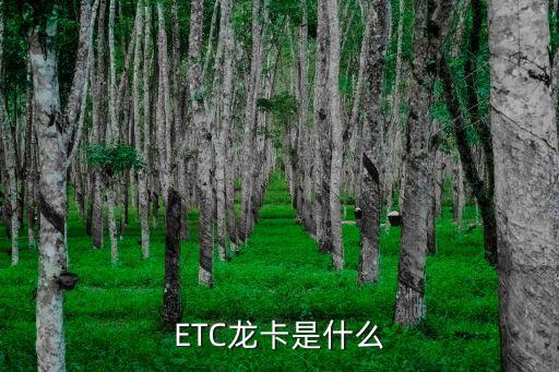 ETC龙卡是什么