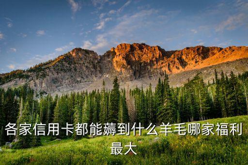 各家信用卡都能薅到什么羊毛哪家福利最大