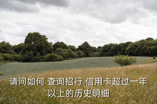 请问如何 查询招行 信用卡超过一年以上的历史明细