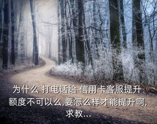 为什么 打电话给 信用卡客服提升 额度不可以么,要怎么样才能提升啊,求教...