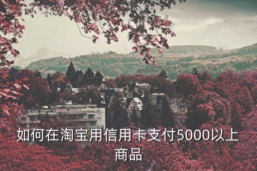 如何在淘宝用信用卡支付5000以上商品