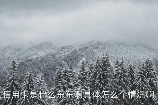 信用卡是什么东东啊具体怎么个情况啊