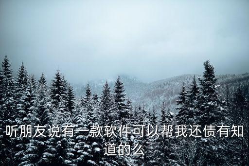 听朋友说有一款软件可以帮我还债有知道的么