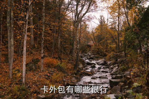 卡外包有哪些银行