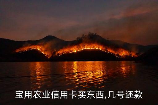 宝用农业信用卡买东西,几号还款