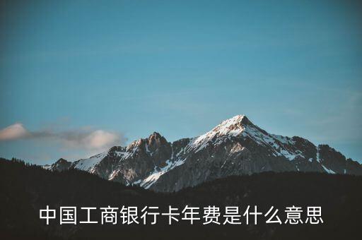 中国工商银行卡年费是什么意思