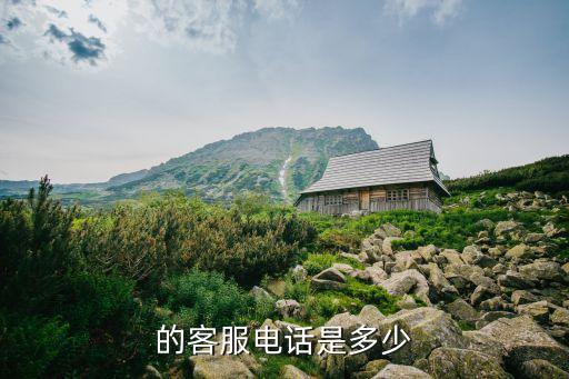 的客服电话是多少