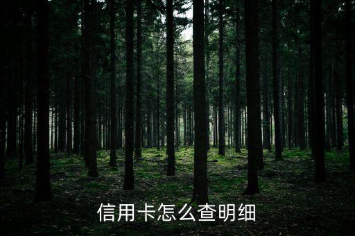 信用卡怎么查明细