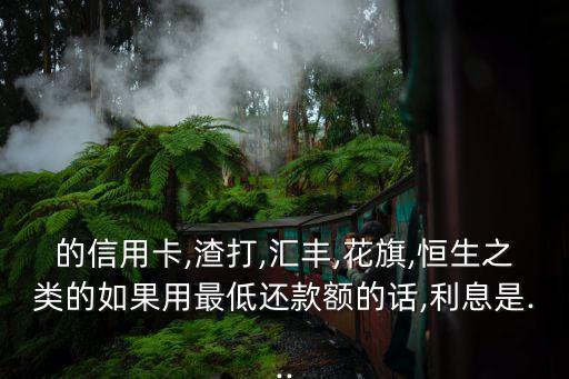 的信用卡,渣打,汇丰,花旗,恒生之类的如果用最低还款额的话,利息是...