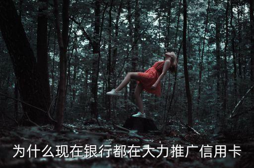 为什么都在宣传恒丰信用卡，银行为什么会大力推广信用卡这其中的商业逻辑是怎么样的