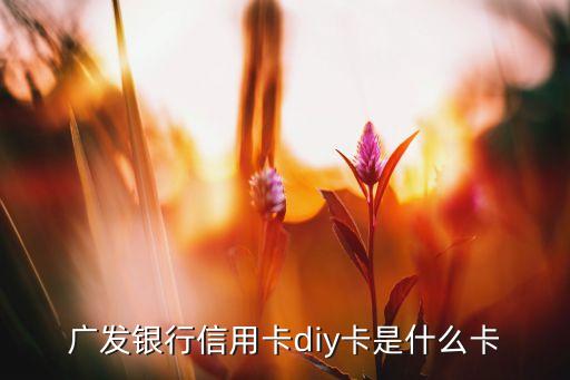 广发银行信用卡diy卡是什么卡