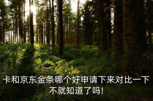 金条和信用卡分期哪个便宜,JD.COM金条和信用卡哪个更划算