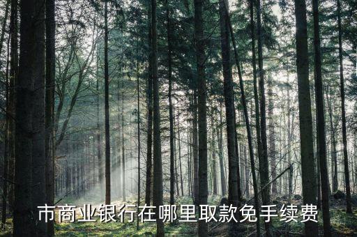 市商业银行在哪里取款免手续费