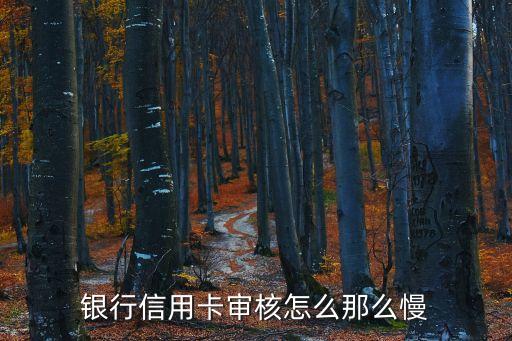 银行信用卡审核怎么那么慢