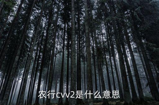 农行cvv2是什么意思