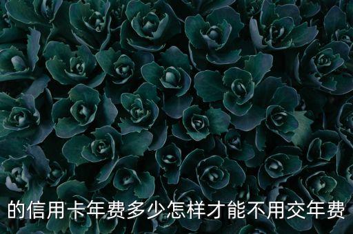 的信用卡年费多少怎样才能不用交年费