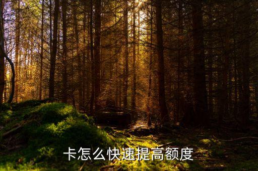 卡怎么快速提高额度