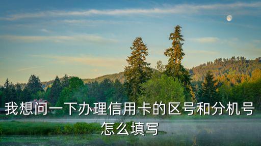 我想问一下办理信用卡的区号和分机号怎么填写