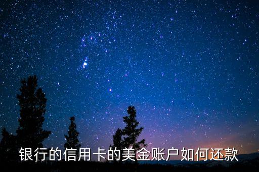 银行的信用卡的美金账户如何还款
