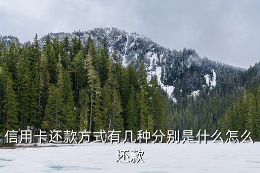 信用卡还款方式有几种分别是什么怎么还款