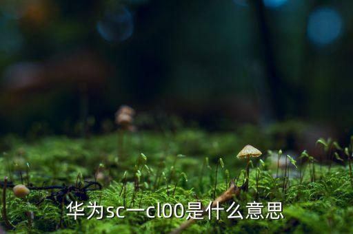 华为sc一cl00是什么意思