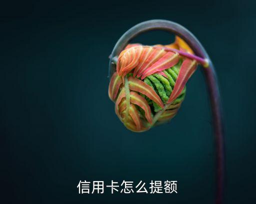 信用卡怎么提额