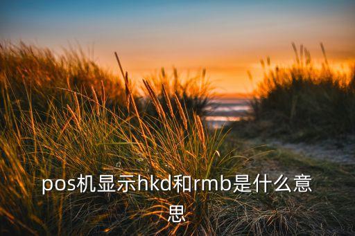 pos机显示hkd和rmb是什么意思