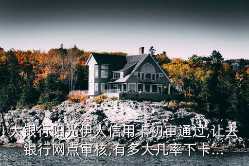 大银行阳光伊人信用卡初审通过,让去银行网点审核,有多大几率下卡...