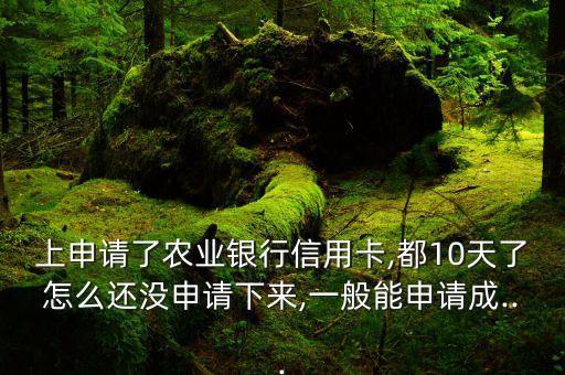 上申请了农业银行信用卡,都10天了怎么还没申请下来,一般能申请成...