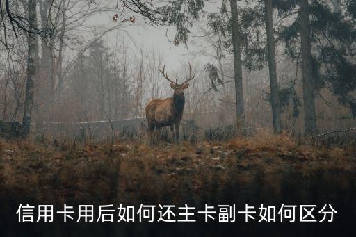 浦发信用卡主卡是什么，信用卡主卡与副卡之间是什么关系