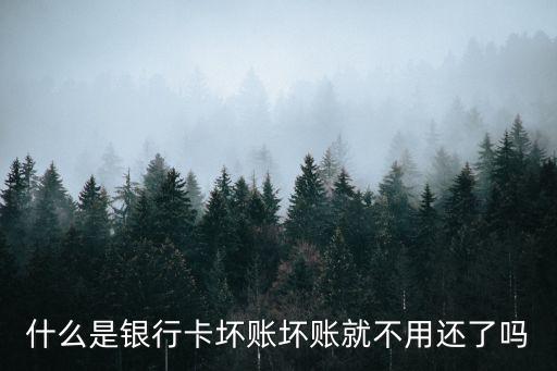 什么叫信用卡坏账，信用卡呆账是什么意思