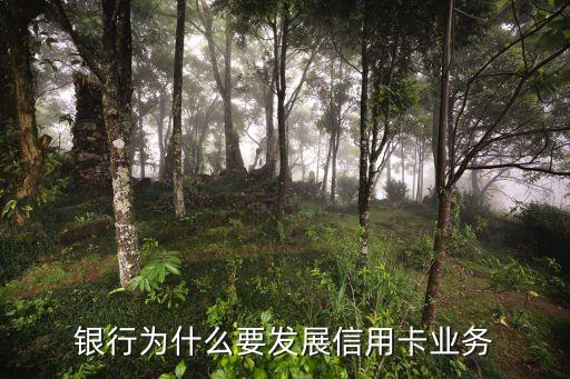 银行为什么要发展信用卡业务