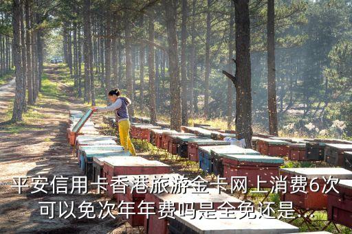 平安信用卡香港旅游金卡网上消费6次可以免次年年费吗是全免还是...