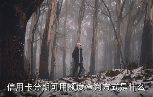 信用卡分期可用额度查询方式是什么