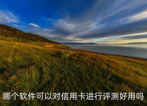 什么软件看信用卡好不好，怎么在网上查自己的信用卡的信用度是好是坏
