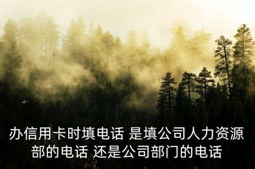 申请信用卡联系人填写什么，我想申请信用卡需要填写座机号码可是我家没座机要怎么填写这