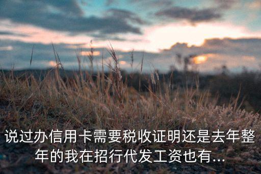说过办信用卡需要税收证明还是去年整年的我在招行代发工资也有...