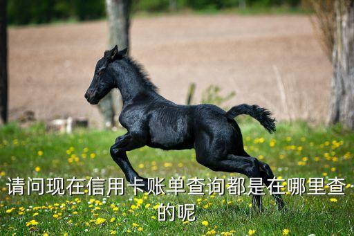 请问现在信用卡账单查询都是在哪里查的呢