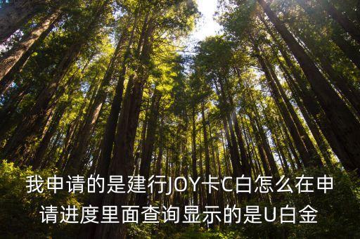 建行龙卡joy信用卡c标白是什么卡，建行龙卡腾讯游戏信用卡的C标白是什么意思